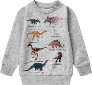 Akyzic Boys Sweatshirts Cotton Long Sleeve Crewneck Pullover Toddler Kids Winter Warm Shirt Sweater Tops 3t-8t