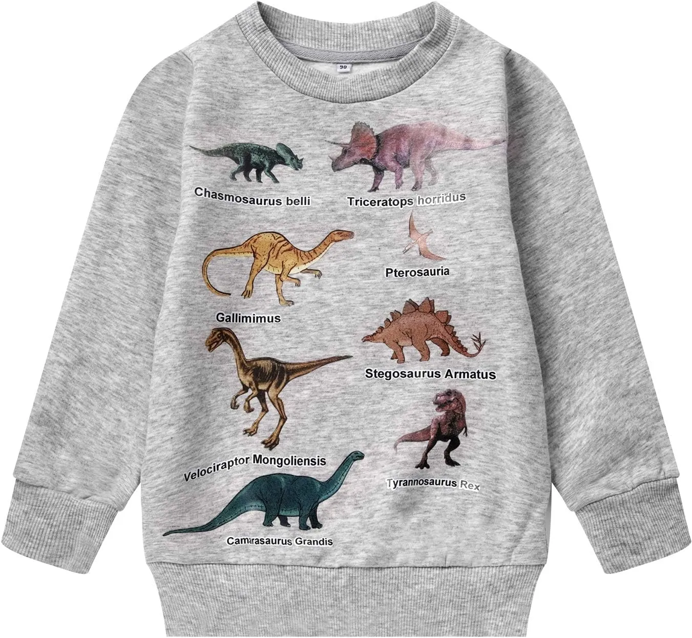 Akyzic Boys Sweatshirts Cotton Long Sleeve Crewneck Pullover Toddler Kids Winter Warm Shirt Sweater Tops 3t-8t