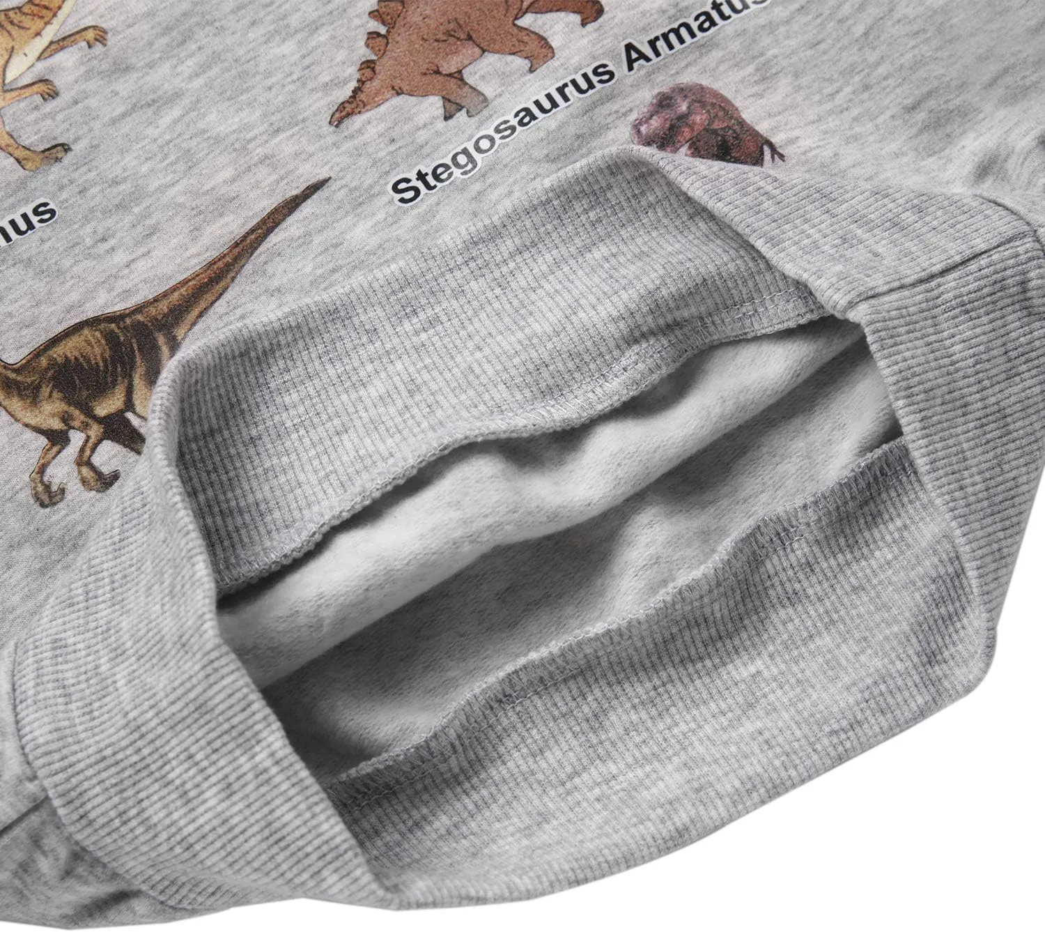 Akyzic Boys Sweatshirts Cotton Long Sleeve Crewneck Pullover Toddler Kids Winter Warm Shirt Sweater Tops 3t-8t