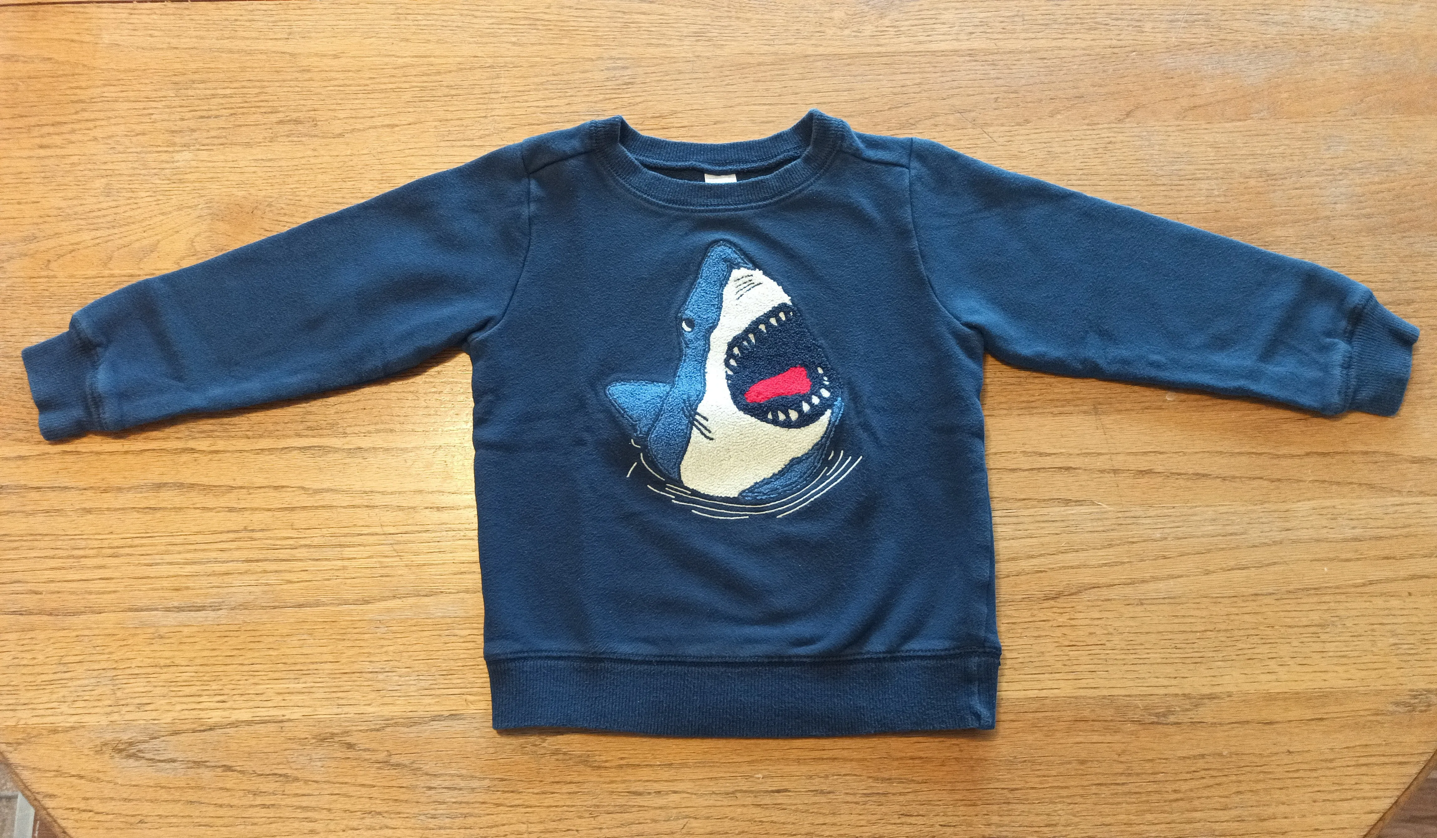 Carter's Kid Boys Sweatshirt Pullover - size 6, Kids 6/6X (extra small)