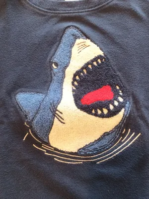 Carter's Kid Boys Sweatshirt Pullover - size 6, Kids 6/6X (extra small)